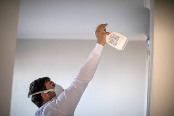 Best Certified Mold Removal  in Lexington, NC
