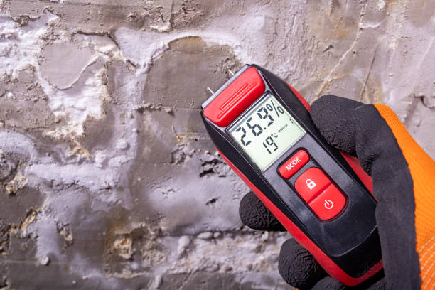 Best Water Damage Restoration  in Lexington, NC