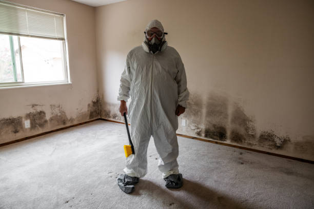Best Office Mold Removal Services  in Lexington, NC